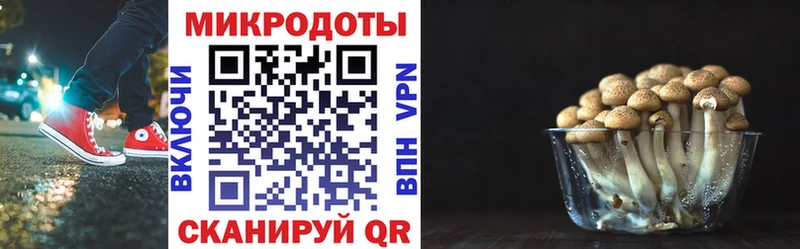 Псилоцибиновые грибы прущие грибы  kraken рабочий сайт  Очёр 